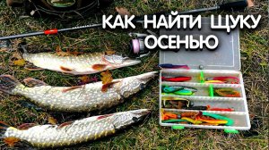 В чем СЕКРЕТ этого ПРУДА с ЩУКОЙ? КАК поймать щуку на джиг осенью. Рыбалка на джиг с берега