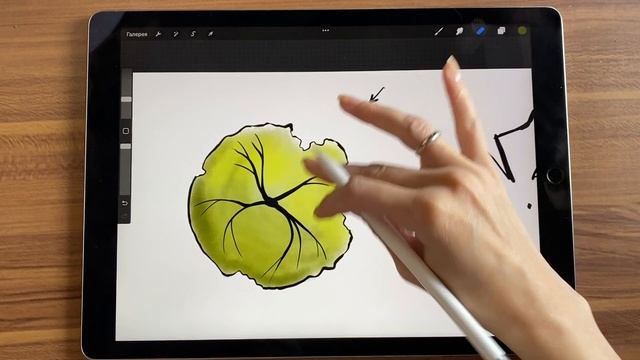 Кисточки для нанесения ЦВЕТА. Учимся наносить цвет ОБЪЕМНО в Procreate смотреть онлайн
