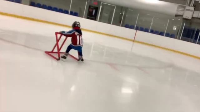 FGTeeV BOOK | Skating with my Colorado Avalanche Jersey | SKIING FAST ON A HUGE MOUNTAIN IN QUEBEC смотреть онлайн