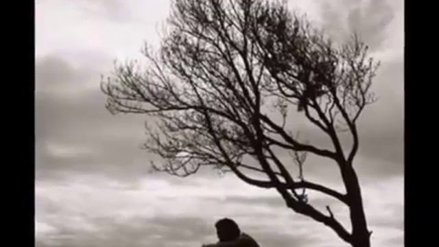 Памяти ушедших в небеса. Слова Ольги Янис. Музыка и исполнение Николая Жогло. смотреть онлайн