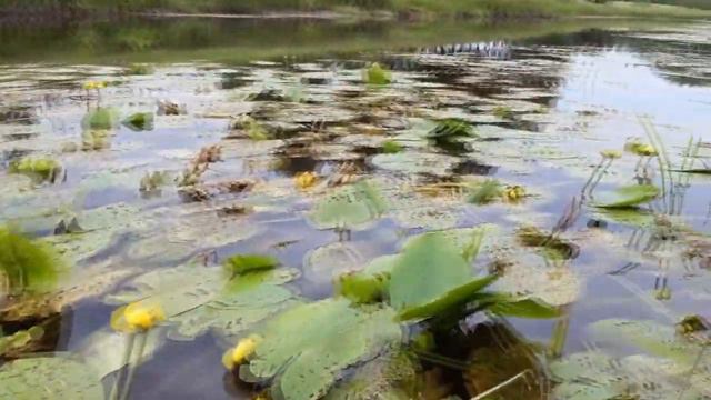 Читаем Аксакова всей Россией смотреть онлайн