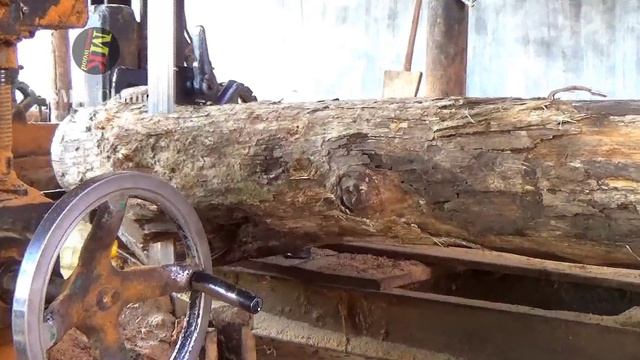 JANGAN ASAL PILIH inilah Wujud kayu kering keras yang bikin mesin bandsaw ngos-ngosan смотреть онлайн