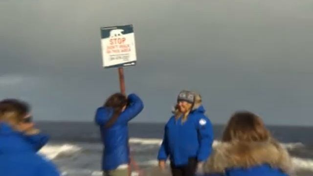 "Zooпарк": "Город белых медведей" смотреть онлайн