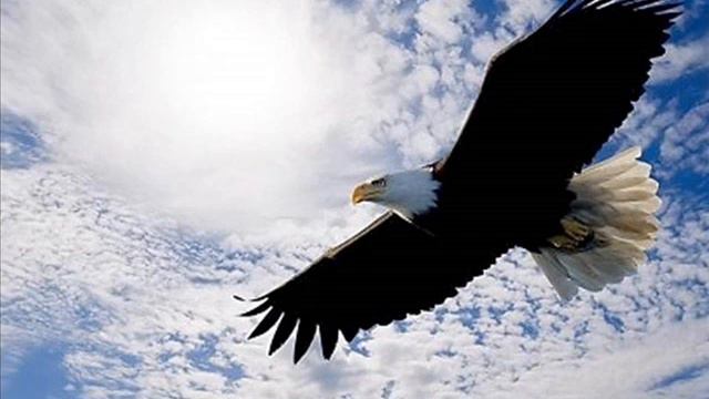 Игорь Гриненко. Проповедь. Общение со Святым Духом