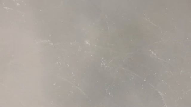 Обучалка💗//Сальхов/тулуп/Риттбергер