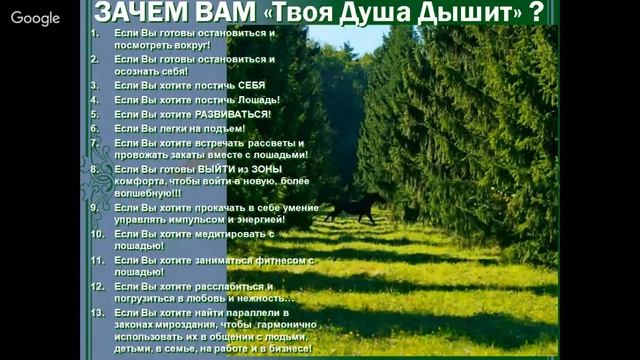 НАБОР в группы на обучение в 2017 году в Школу Счастливых Лошадей смотреть онлайн