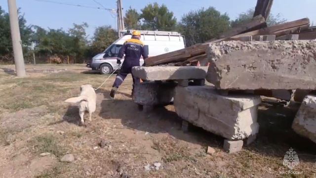 ? #МоментыСлужбы – учения по гражданской обороне смотреть онлайн