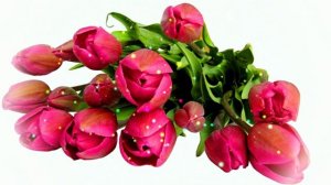 Футаж. Цветочный фон 35