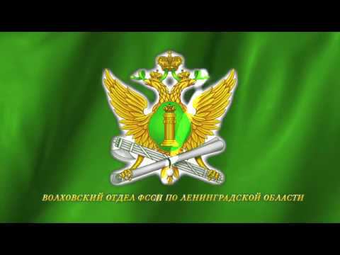 Алиментщик (социальный ролик) смотреть онлайн
