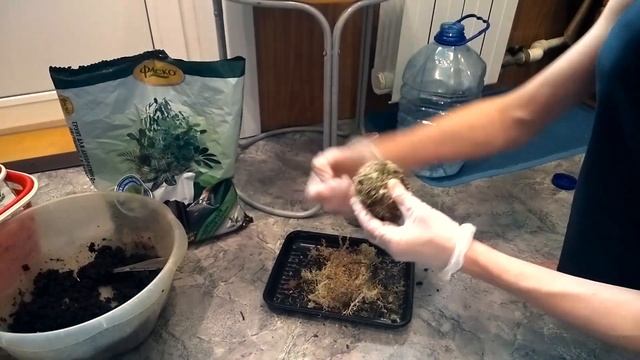 Вабикуса для аквариума своими руками смотреть онлайн