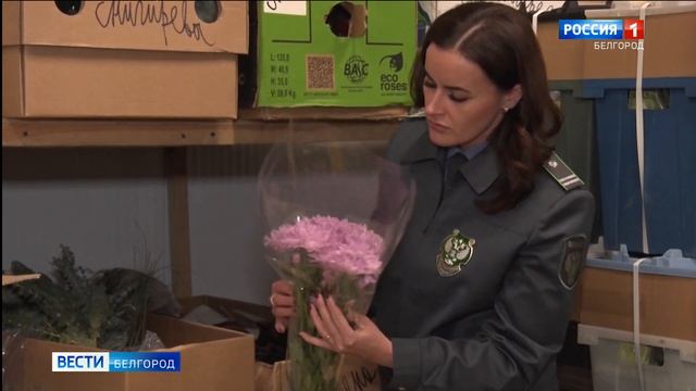 Россельхознадзор усилил контроль за качеством цветов смотреть онлайн