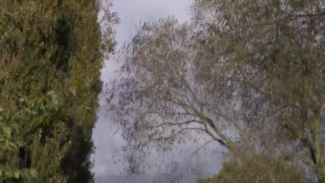 Canon Legria HF R406 - Video Camera Test смотреть онлайн