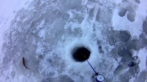 Зимняя рыбалка на реке,, Карасук" Новосибирская область 2021