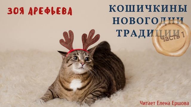 ЗОЯ ПО ПЯТНИЦАМ I Новогодние кошичкины традиции I 1.Пра ёлащку смотреть онлайн