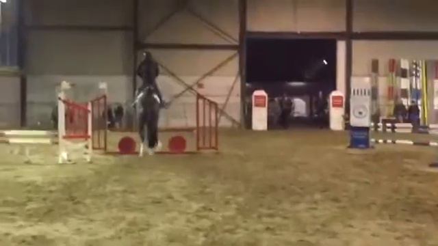 Top 4 yo x Pilot de Hus x Cornet Obolensky смотреть онлайн