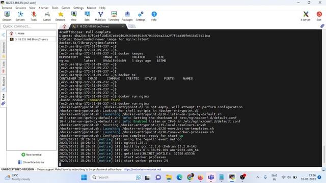 Install Docker and Executed basic Docker commands смотреть онлайн