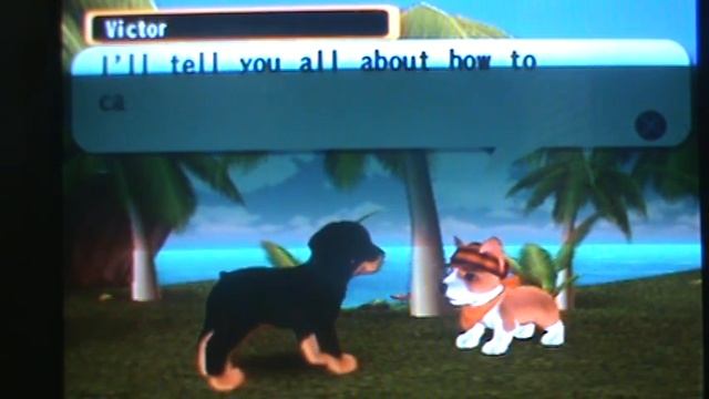 petz dogz 2 LP part 2 смотреть онлайн