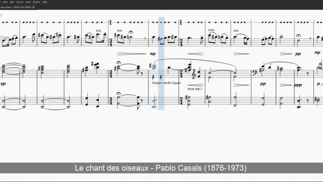 Le chant des oiseaux - Level 1 Metronome + Violin Solo смотреть онлайн