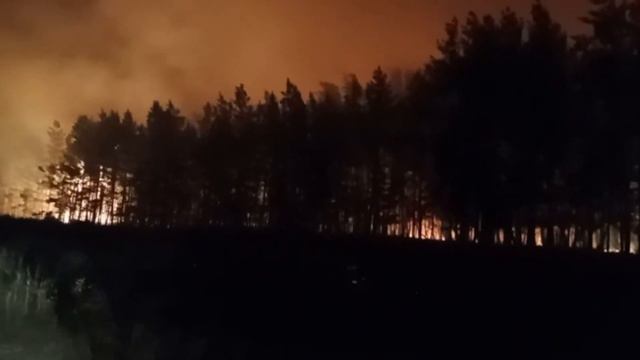 Казахстан в огне. Мощные пожары. Горят леса