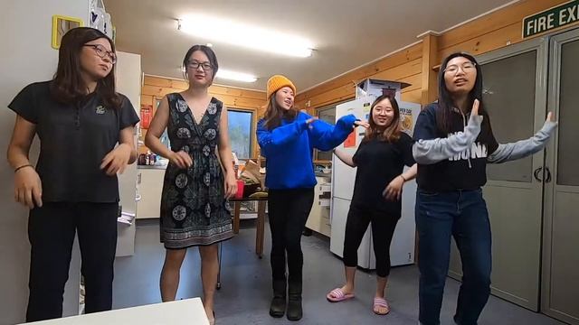 TOTO Dance in Milford Sound, New Zealand, Epic place смотреть онлайн