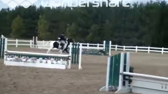 Domino Classic Trip смотреть онлайн