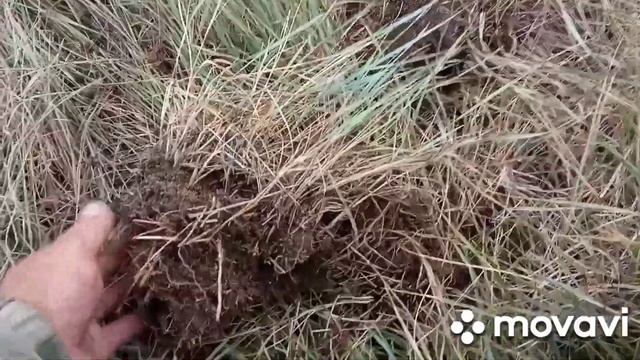 Всё-таки можно найти где 100 раз были смотреть онлайн