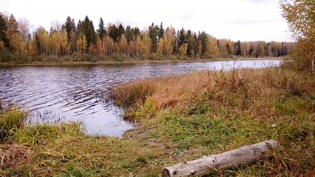 Озеро Волжанка. ч.3. Октябрь 2023 смотреть онлайн