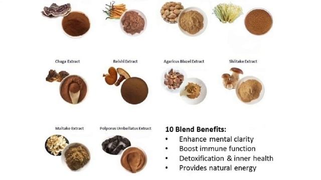 Jetsu Mushroom Extract Powder 10 Blend смотреть онлайн