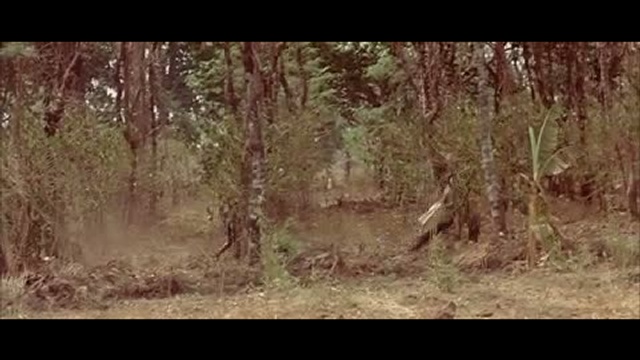 Трейлер Белый материал (White Material) смотреть онлайн