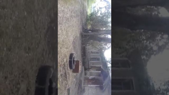 10.06.21 г. - нас с детьми пытались лишить электричества . смотреть онлайн