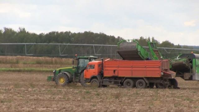 Выгрузка картофеля комбайном AVR - Колнаг в работе смотреть онлайн