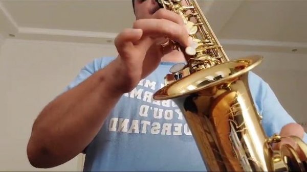 саксофон альт Maxtone в идеальном состоянии