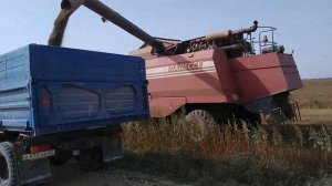 Уборка льна! Правильная урожайность!