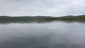 РИБ Форель С 260 под мотором Меркури 9,9 169СС