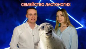 Животный мир. Семейство ластоногие.