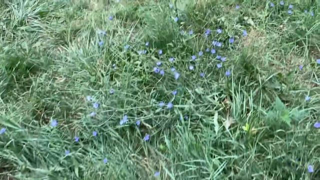 Интересные Факты и Загадки