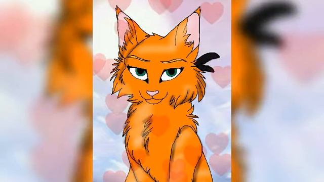 [Киса,Киса - Мяу] Коты-Ютуберы Для Чёрного кота и Рыжей кошки :3 смотреть онлайн