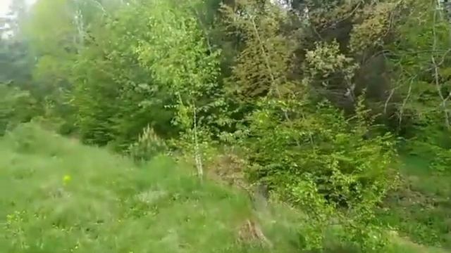 Она согласилась на всё. смотреть онлайн