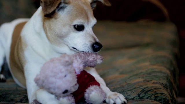 Не связывайся с Генри смотреть онлайн