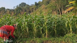 Full video: Journey from orphan to single mother | Ly Thi Duyen