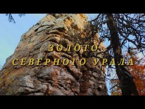 Золото Северного Урала.Gold of the Northern Urals.