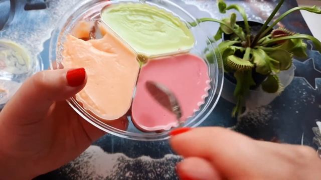 НОВИНКА В СВЕТОФОРЕ ПРОДУКТ "КНЯЖЕСКИЙ ЛЮБИМЧИК" ПОКАЗЫВАЮ ЧТО ВНУТРИ И КАК НА ВКУС. смотреть онлайн