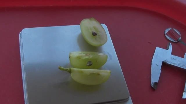 @Виноград 2019 Виноград Синдикат Дегустация смотреть онлайн
