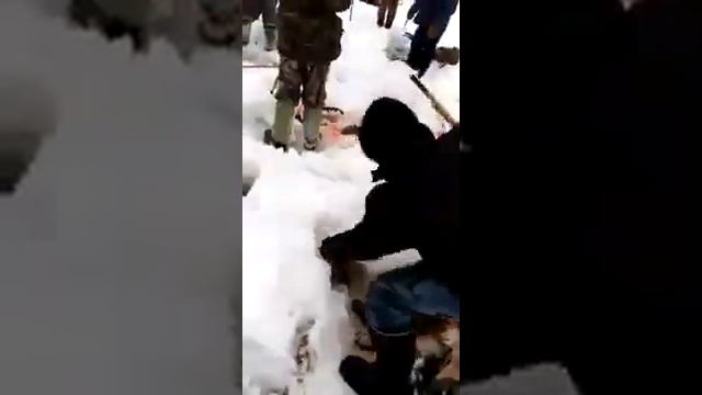 Рыба так и прет одна за одной смотреть онлайн