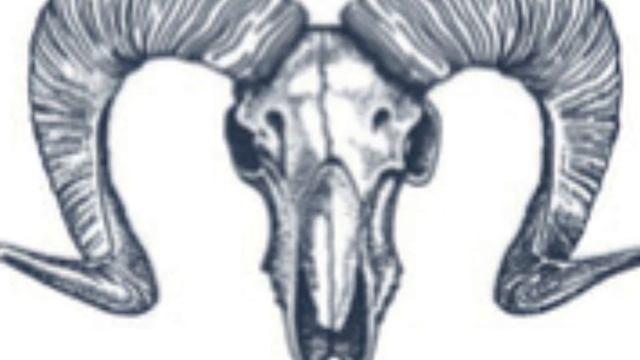 the flesh is weak смотреть онлайн