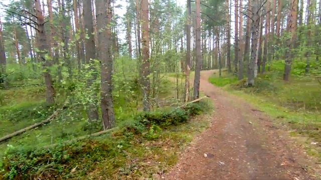 Прогулка вокруг Озёрка. Лодейное Поле. смотреть онлайн