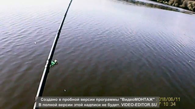 Егорьевский рыбхоз - поединок с карпом смотреть онлайн