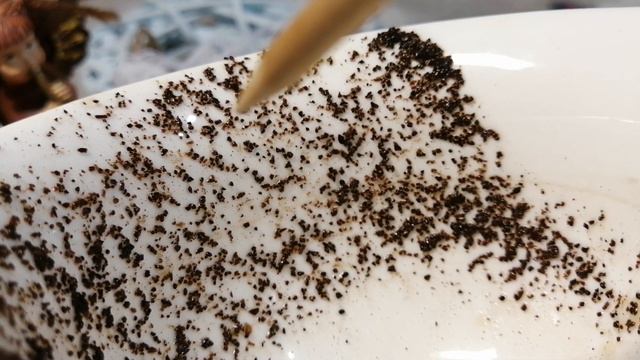 Исполнение желания | Сбудется, не сбудется желание? | Кофе ответ.18 января 2022 г. смотреть онлайн