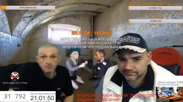 МОПС РЕШАЕТ ЗАДАЧИ ДЛЯ 3 КЛАССА МОПС ЕСТ КАРТОШКУ ШЛЯПА ФРИ С ПОЛА смотреть онлайн