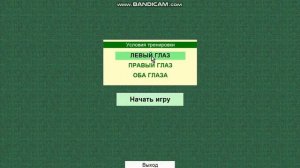 программа цветок для лечения амблиопии легкой и средней степени